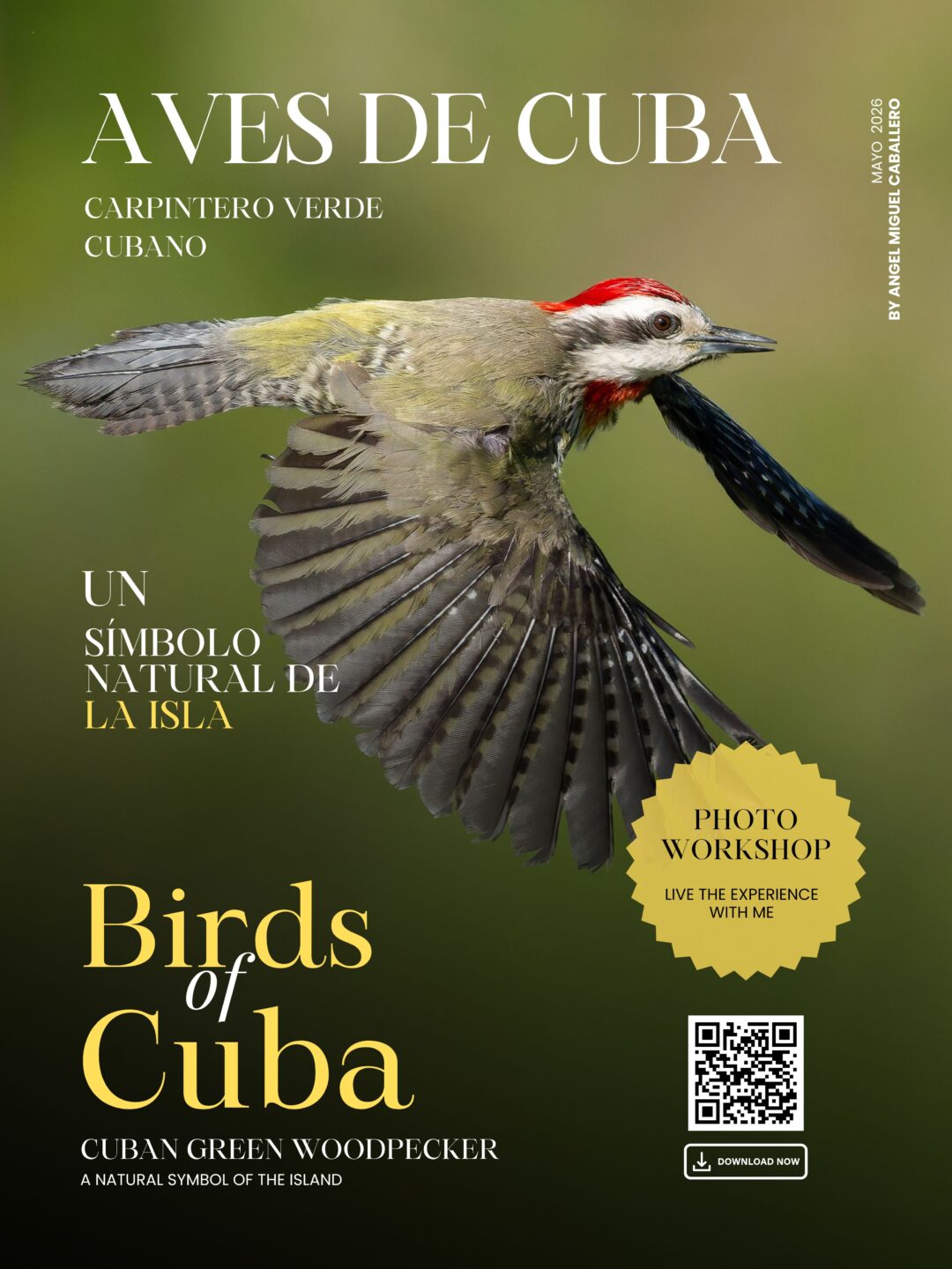 Aves de Cuba/ Birds of Cuba